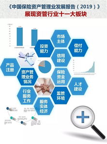 《中國保險資產管理業發展報告2019》 洞察資本管理新趨勢，引領行業高質量發展